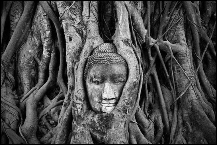 ANGELO GIAMPICCOLO PHOTOGRAPHY