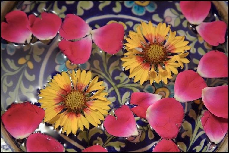 ANGELO GIAMPICCOLO PHOTOGRAPHY